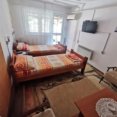 Domacinstvo Nikolic Apartment *