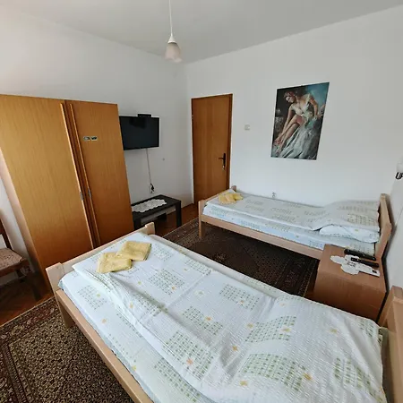 Domacinstvo Nikolic