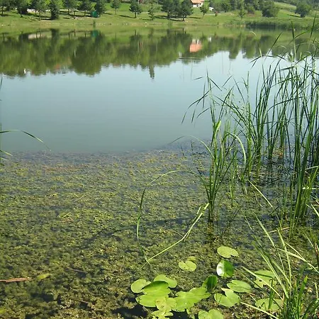 Domacinstvo Nikolic Valjevo
