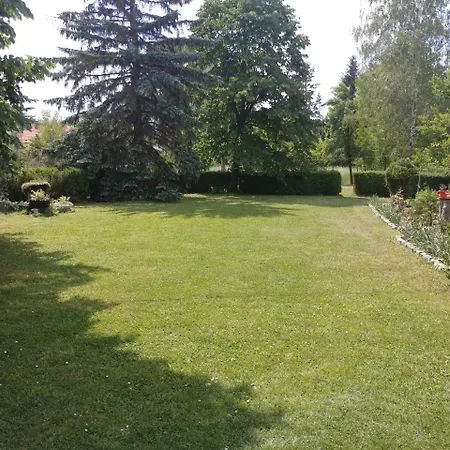 Apartment Domacinstvo Nikolic