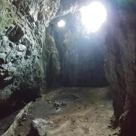 Apartment Domacinstvo Nikolic *